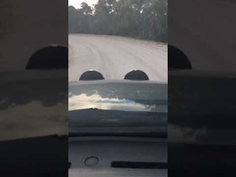 Letting down the tyres