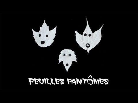 Feuilles fantmes - bricolage d'Halloween