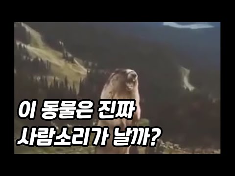 아이콘