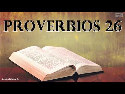Proverbs 26 | The Bible in Your Hands | Carlos Martín