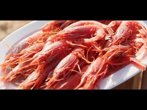 Γαρίδες Κοιλάδας, τοπικό προϊόν & Μύδια Θερμαϊκού, τοπικό προϊόν