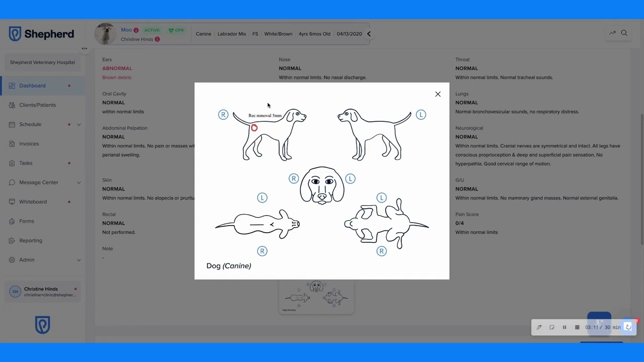 Discover Shepherd: The Leading Cloud-Based Veterinary Software in the U.S. | 5-Minute Overview