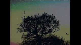 BILL NELSON-WITHOUT A BLUE HORIZON-2000