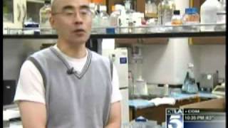 Radiation Crisis in Japan and Cancer Risk?