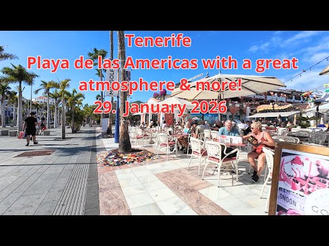 Tenerife - Playa de las Americas with a great atmosphere & more! 29.  January 2026 #tenerife