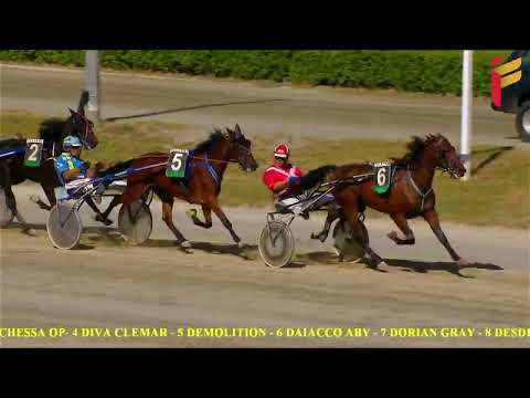 I corsa del 25 settembre 2022 - 3 Anni Maiden - Metri 1600