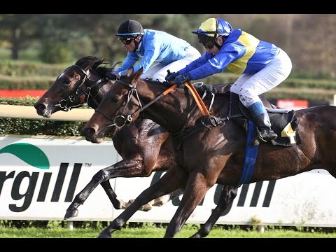 Krefeld: KRIE-EWEL OP JÖCK EBF-Rennen (D) - Siegerin: Neve