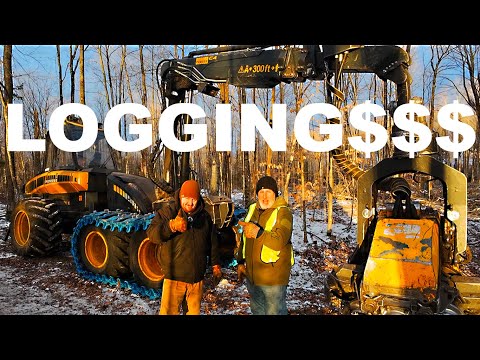 LOGGING EQUIPMENT THE COST OF BUSINESS!