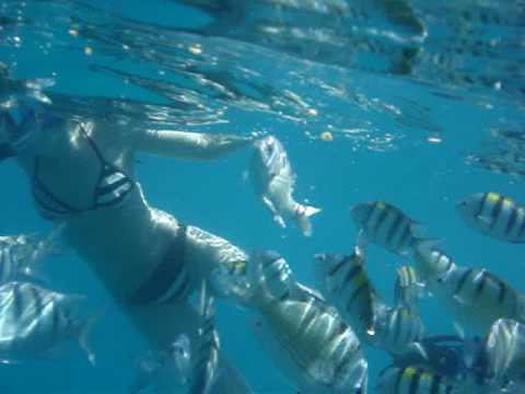 Snorkeling in Ko'Olina - Oahu, Hawaii