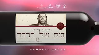 Kos Shel Bracha - Shmueli Ungar, Zaltz Band, Tnuah Choir | כוס של ברכה - שמילי אונגר, זאלץ, תנועה