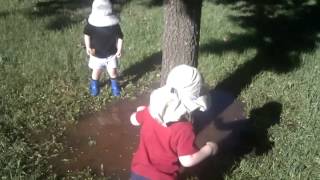 preview picture of video 'Playing in a puddle surrounding a tree.'