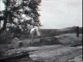 Kitchens of Distinction - White Horses