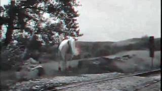 Kitchens of Distinction - White Horses