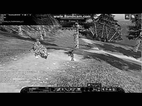 Jinn Silkroad Online