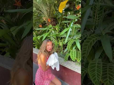 I just rescued the cutest animal ever 🤭 #shorts #fypage #trending