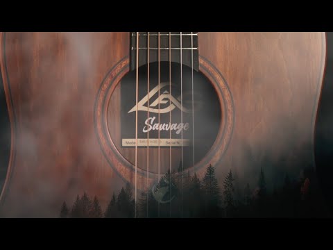 Краткая демонстрация гитар LAG Sauvage
