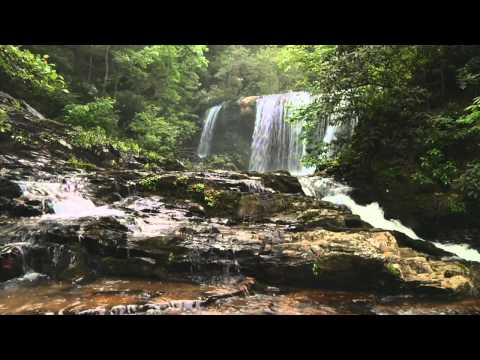 Matt Skyer pres. JMS - Georgia (Original Mix) [Music Video] [Arisa Audio]