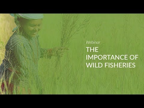 Webinar: The Importance of Wild Fisheries