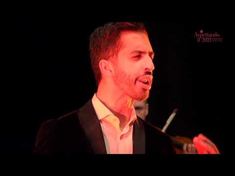 Hyperion ensemble Merceditas