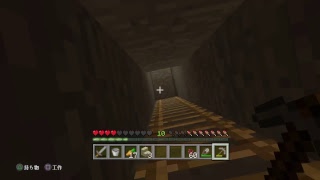 [マイクラ]エラー落ち..........