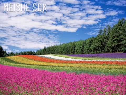 RELAXING & SOOTHING MUSIC | BLOOM OF YOUTH PIANO MUSIC_ONE HOUR VERSION