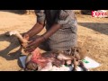 Calf Born With Human Head