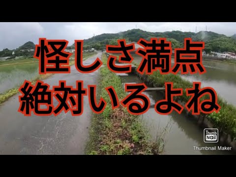 【北九州ガサガサ】猿喰周辺で怪しい用水路を発見