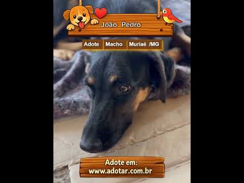 Vídeo de João Pedro