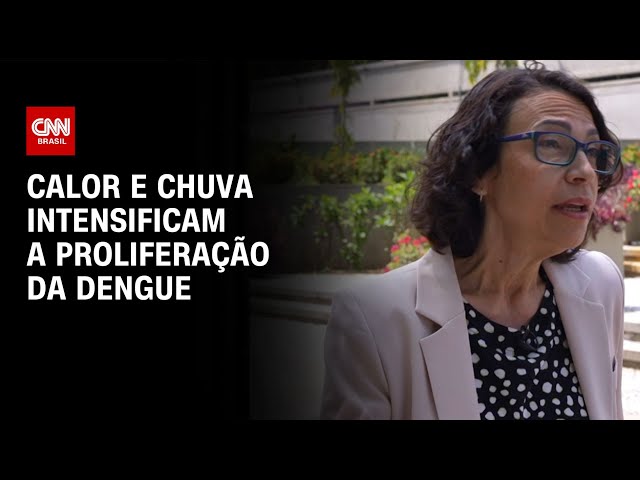 Mudanças climáticas impactam a proliferação da dengue? Especialistas explicam | CNN SINAIS VITAIS