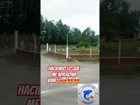 El Carmen, jujuy,Argentina.  #foryou #motivation #trending