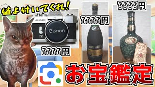 グーグルレンズで家にあるお宝を簡単に鑑定じゃい！【猫ミーム】