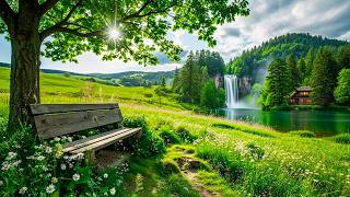 Download lagu Beautiful Relaxing Music🌿 Stop Overthinking, Stress Relief Music, Sleep Music #57 mp3 Download lagu Beautiful Relaxing Music🌿 Stop Overthinking, Stress Relief Music, Sleep Music #57 mp3