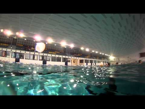 Wasserball Leipzig gg. Dresden (2. WLO)