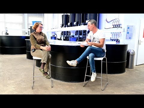 Modern Koi Blog #3474 - Which food additives are recommended for autumn?