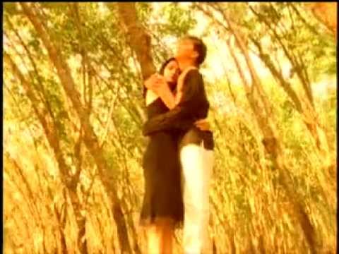 Thể hiện bởi Đàm Vĩnh Hưng