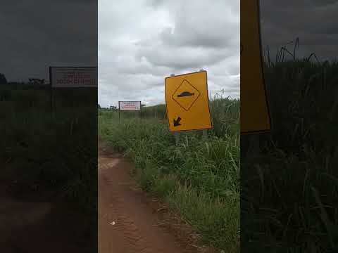 Rodovia que liga os municípios de Taquarussu, Batayporã e Nova Andradina MS.