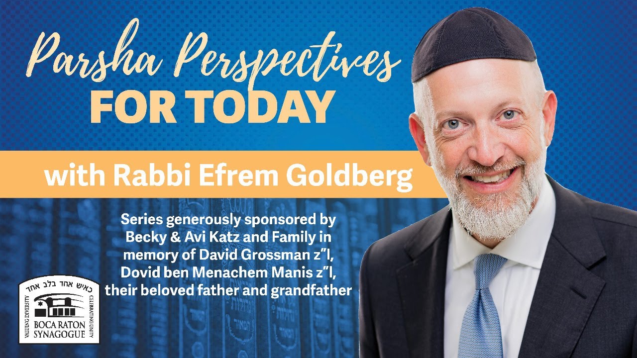 Parsha Perspectives - Noach