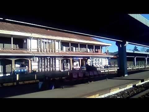 Ploiești:Tren CFR Marfă cu EA 830 tranzitând stația Ploiești Vest