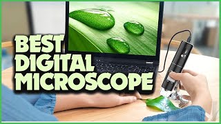 Explore the Microscopic World: Top 5 Digital Microscopes!