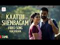 Kaattu Shenbagam Video Song Pallichattambi Tamil Tovino Thomas Kayadu Lohar Jakes Bejoy