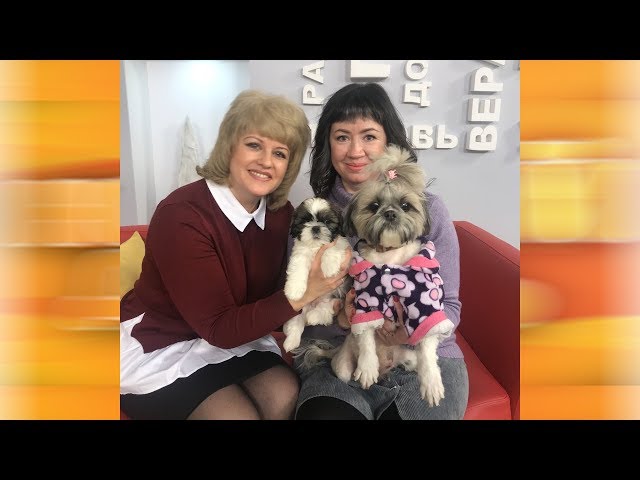 Живая среда