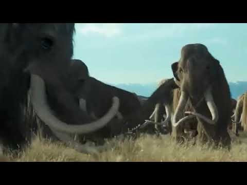 10 самый большое животные в мире
