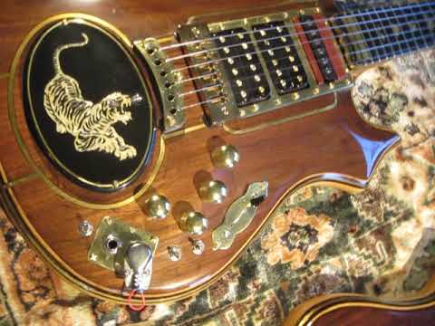 Tiger, Strad-a-Tiger #9. Jerry Garcia's Grateful Dead self built copy 2008-2024 image 24