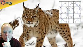 The Lynx Sees Everything!