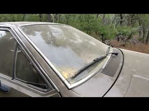 Alfa Romeo Alfetta guilty drive