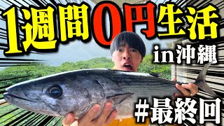 魚捌けるともやんかっこいい 00 02 36 00 04 13 特大カツオを捌いたら高級珍味の卵出てきた 1週間0円生活最終話 切り抜きdb