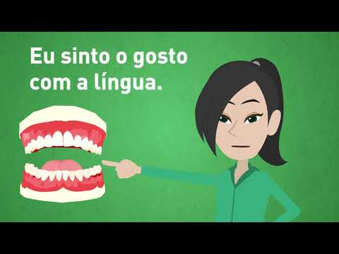 Lesson 28 / Transportation facilities / The five senses / Learn portuguese online and for free