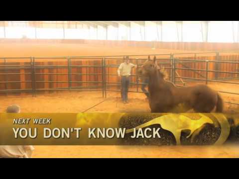 En FSN, domingo 17 de julio de 2011: Clinton es un último esfuerzo para salvar su caballo.