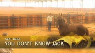 On FSN, Sunday July 17, 2011:  Clinton is a last-ditch effort to save their horse.