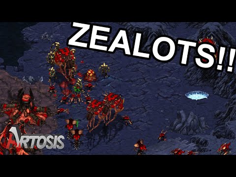 Bringing Out the Cleanest PvZ Builds - Stork vs. Killer G4 - CMNSL FINALS